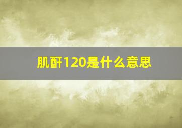 肌酐120是什么意思