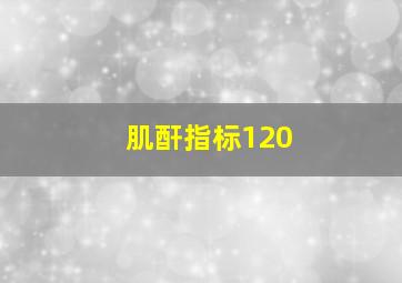 肌酐指标120