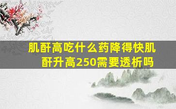 肌酐高吃什么药降得快肌酐升高250需要透析吗