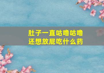 肚子一直咕噜咕噜还想放屁吃什么药