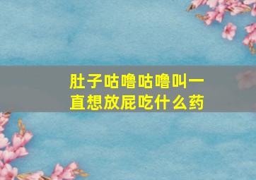 肚子咕噜咕噜叫一直想放屁吃什么药