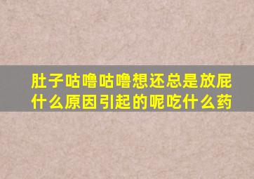 肚子咕噜咕噜想还总是放屁什么原因引起的呢吃什么药