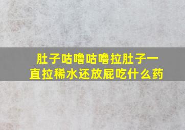 肚子咕噜咕噜拉肚子一直拉稀水还放屁吃什么药