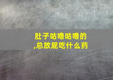 肚子咕噜咕噜的,总放屁吃什么药