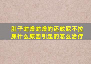 肚子咕噜咕噜的还放屁不拉屎什么原因引起的怎么治疗