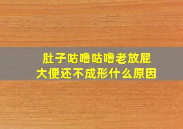 肚子咕噜咕噜老放屁大便还不成形什么原因