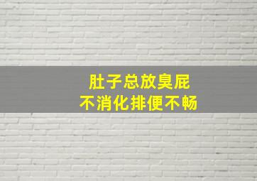 肚子总放臭屁不消化排便不畅