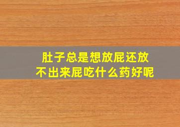 肚子总是想放屁还放不出来屁吃什么药好呢