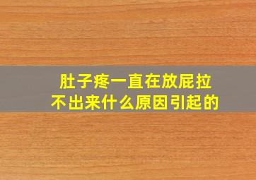 肚子疼一直在放屁拉不出来什么原因引起的