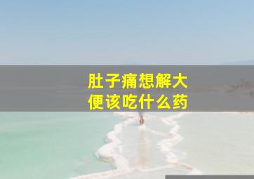 肚子痛想解大便该吃什么药