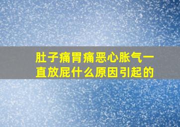 肚子痛胃痛恶心胀气一直放屁什么原因引起的