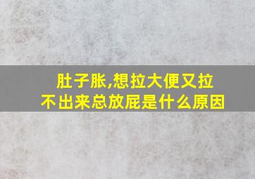 肚子胀,想拉大便又拉不出来总放屁是什么原因