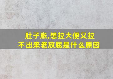 肚子胀,想拉大便又拉不出来老放屁是什么原因