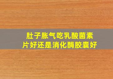 肚子胀气吃乳酸菌素片好还是消化酶胶囊好