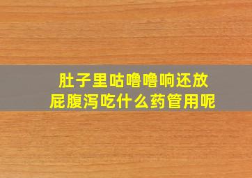 肚子里咕噜噜响还放屁腹泻吃什么药管用呢