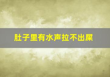 肚子里有水声拉不出屎