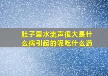 肚子里水流声很大是什么病引起的呢吃什么药