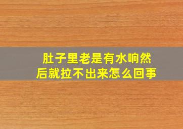 肚子里老是有水响然后就拉不出来怎么回事