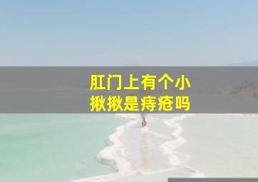 肛门上有个小揪揪是痔疮吗