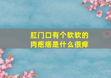 肛门口有个软软的肉疙瘩是什么很痒