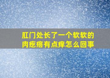 肛门处长了一个软软的肉疙瘩有点痒怎么回事