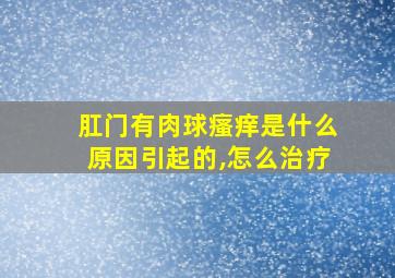 肛门有肉球瘙痒是什么原因引起的,怎么治疗