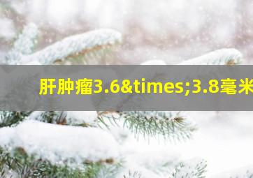 肝肿瘤3.6×3.8毫米