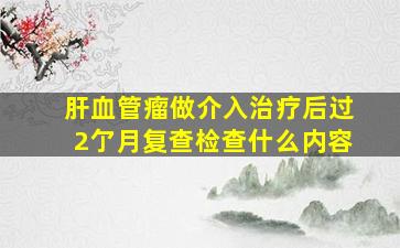 肝血管瘤做介入治疗后过2亇月复查检查什么内容