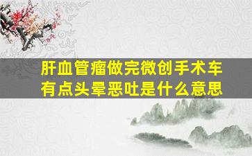 肝血管瘤做完微创手术车有点头晕恶吐是什么意思