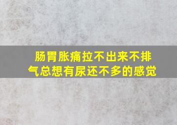 肠胃胀痛拉不出来不排气总想有尿还不多的感觉