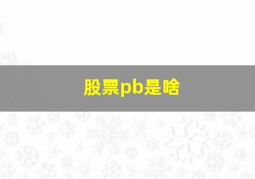 股票pb是啥