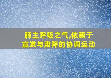 肺主呼吸之气,依赖于宣发与肃降的协调运动