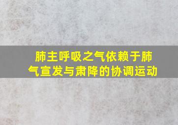 肺主呼吸之气依赖于肺气宣发与肃降的协调运动