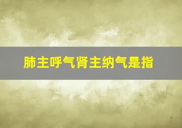 肺主呼气肾主纳气是指