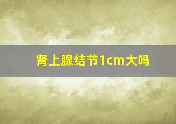 肾上腺结节1cm大吗