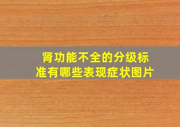 肾功能不全的分级标准有哪些表现症状图片