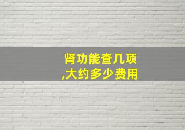 肾功能查几项,大约多少费用