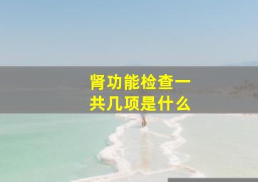 肾功能检查一共几项是什么