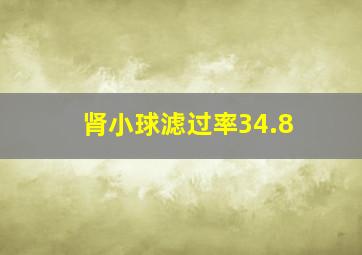 肾小球滤过率34.8