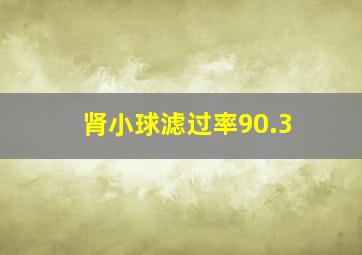 肾小球滤过率90.3