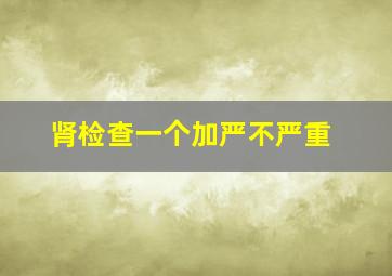 肾检查一个加严不严重