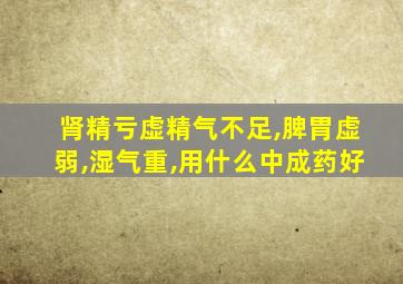 肾精亏虚精气不足,脾胃虚弱,湿气重,用什么中成药好