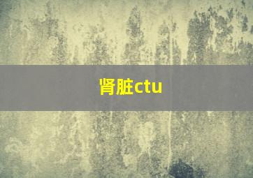 肾脏ctu