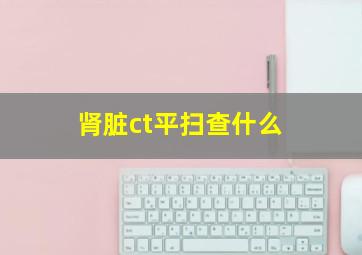 肾脏ct平扫查什么