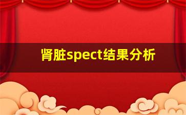 肾脏spect结果分析