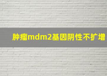 肿瘤mdm2基因阴性不扩增