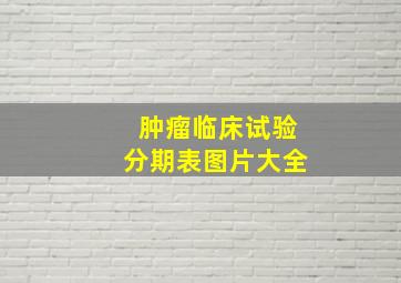 肿瘤临床试验分期表图片大全