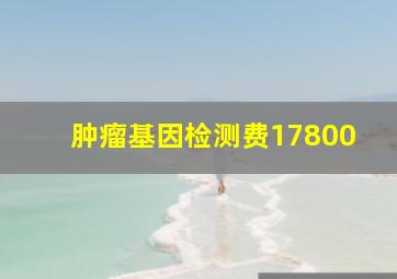 肿瘤基因检测费17800