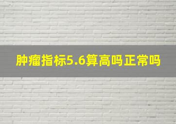 肿瘤指标5.6算高吗正常吗