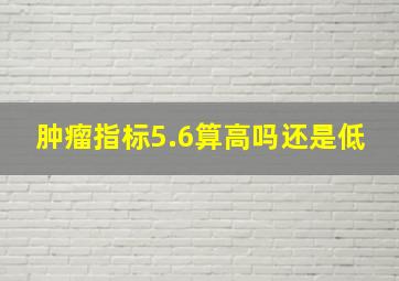 肿瘤指标5.6算高吗还是低